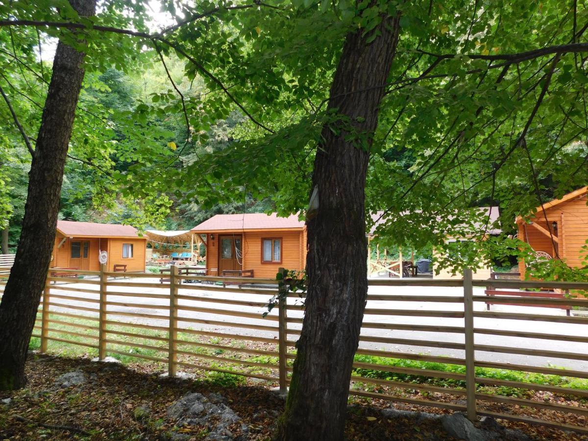Sound Of Nature Tismana Exterior photo