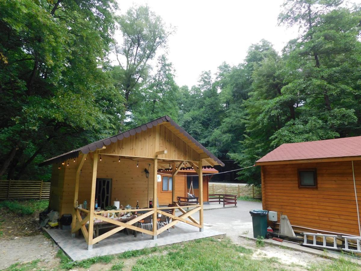 Sound Of Nature Tismana Exterior photo