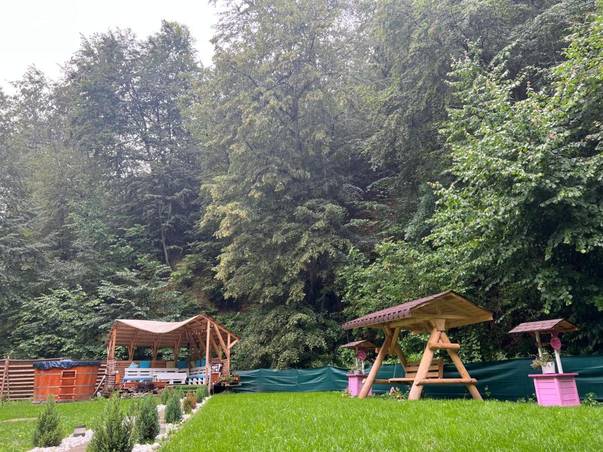 Sound Of Nature Tismana Exterior photo