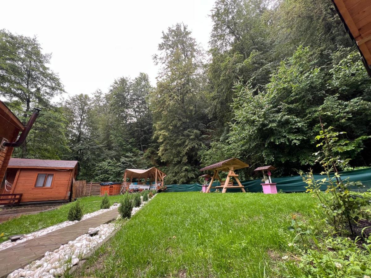 Sound Of Nature Tismana Exterior photo
