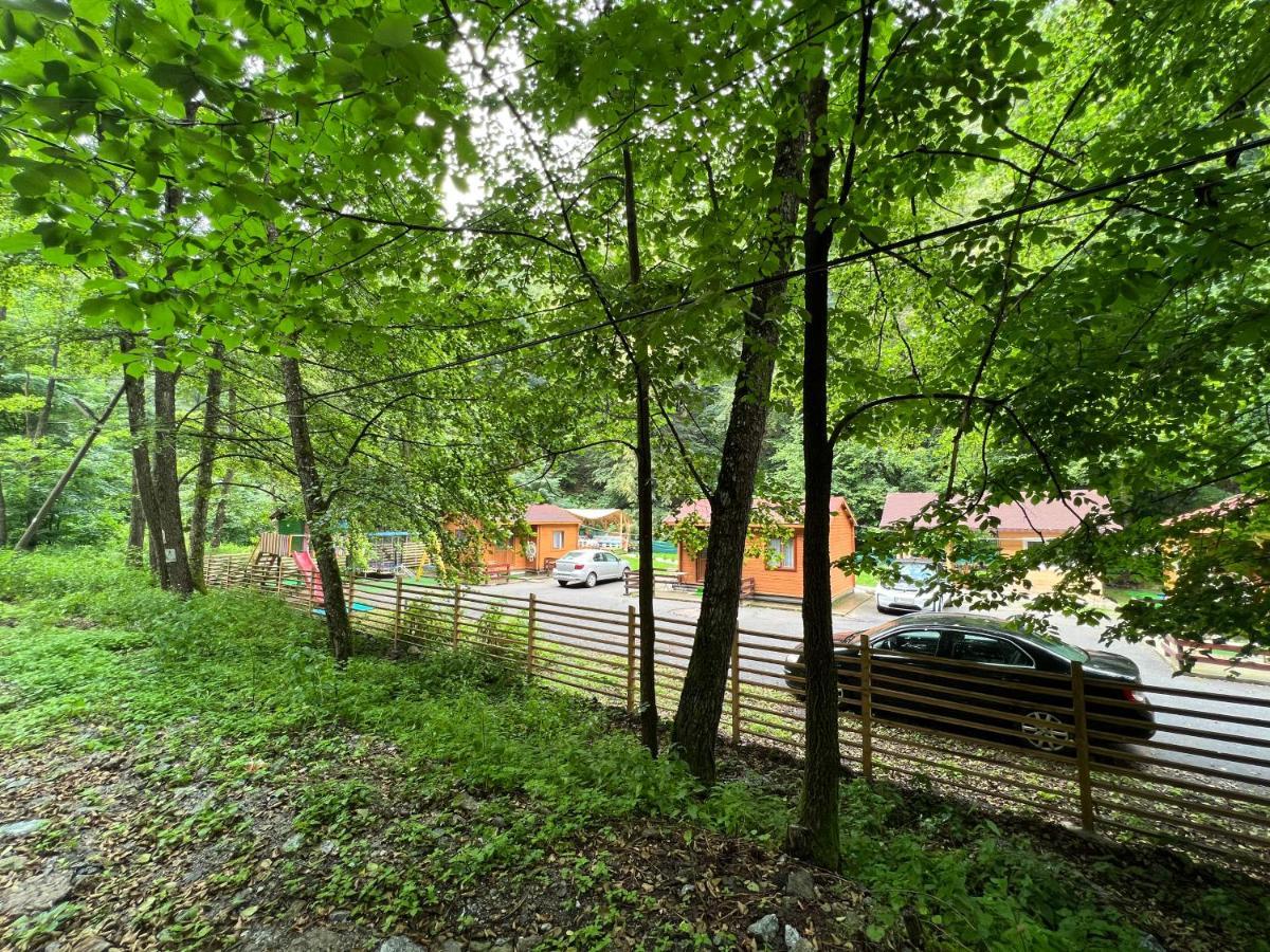 Sound Of Nature Tismana Exterior photo