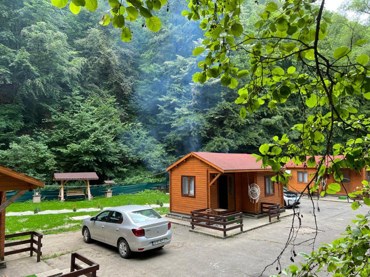 Sound Of Nature Tismana Exterior photo