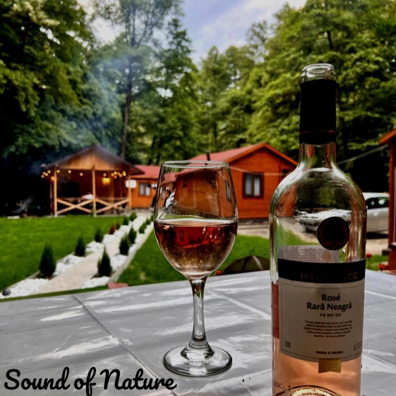 Sound Of Nature Tismana Exterior photo