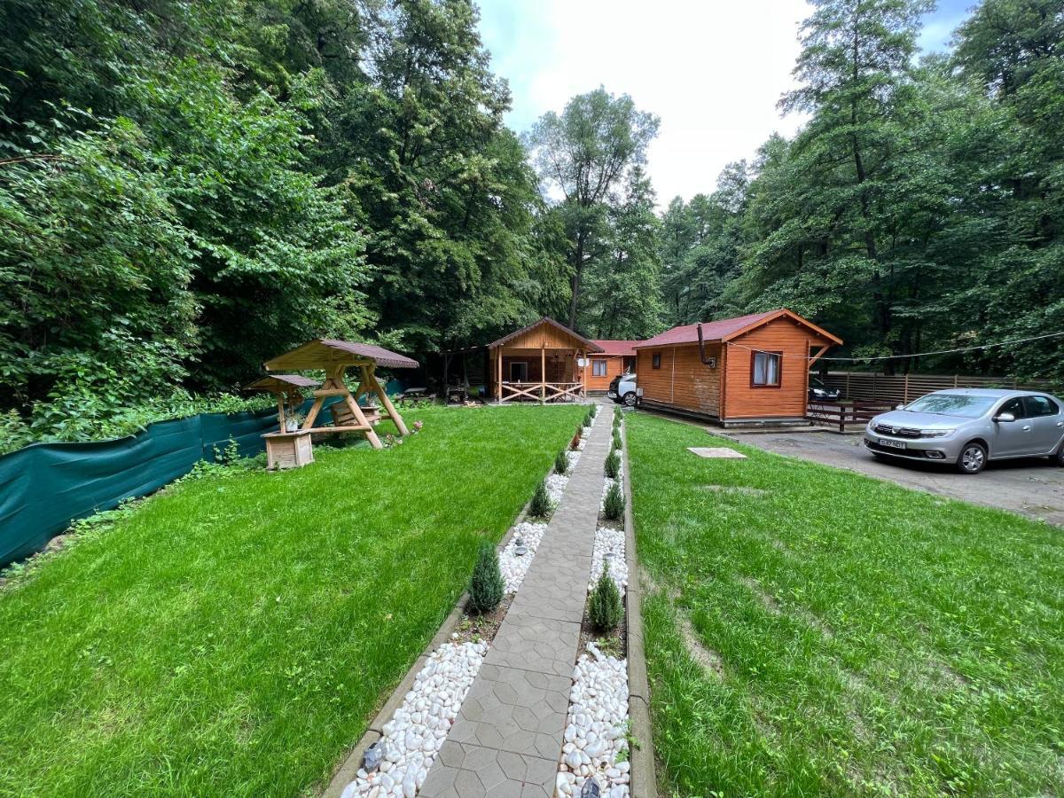 Sound Of Nature Tismana Exterior photo